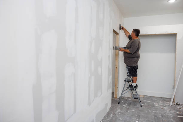 Best Mold Remediation for Vacation Homes  in USA